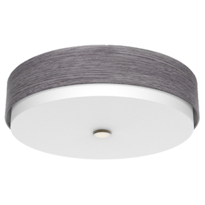 Staybridge Suites Hotel Ceiling Lamp by IHG Guestroom Ceiling Lamp King Double Queen Ceiling Lamp HL-541017