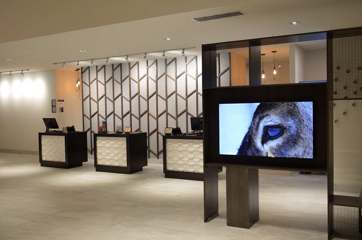 front-desk