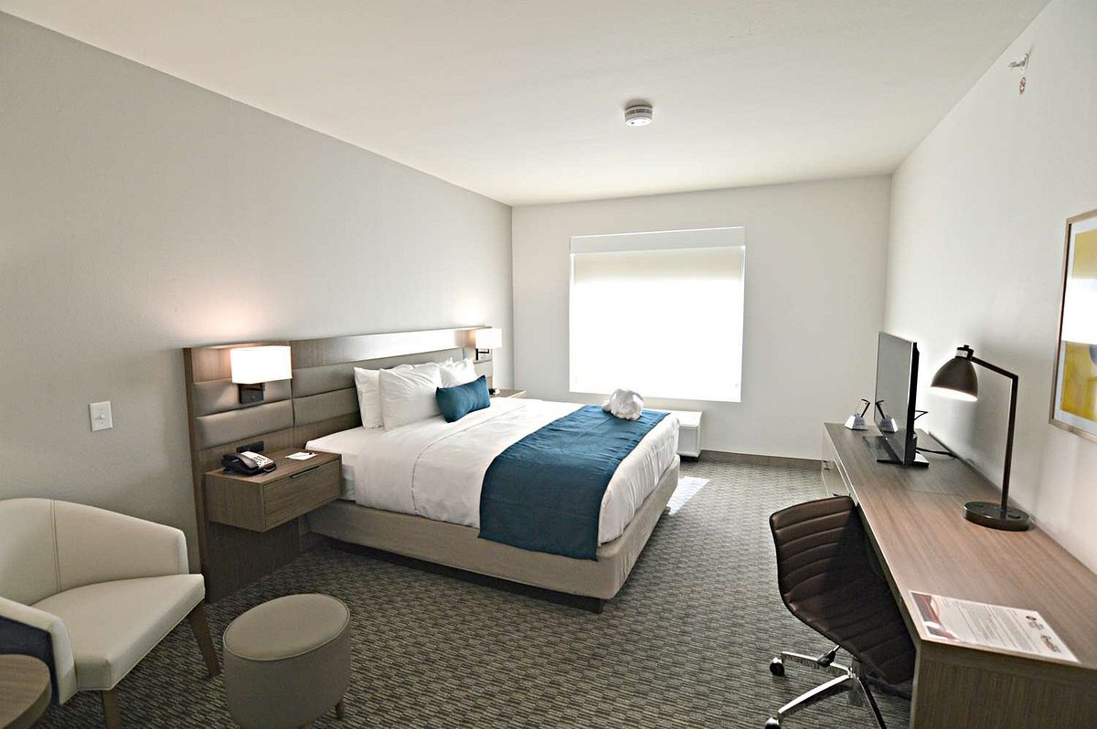 junior-king-guest-suite