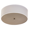 Holiday inn By IHG H4 Ceiling Lamp Public Area Ceiling Lamp King Double Queen Ceiling Lamp HL-529402