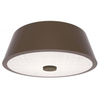 Delta Hotel By Marriott Ceiling Lamp Public Area Ceiling Lamp King Double Queen Ceiling Lamp HL-73301