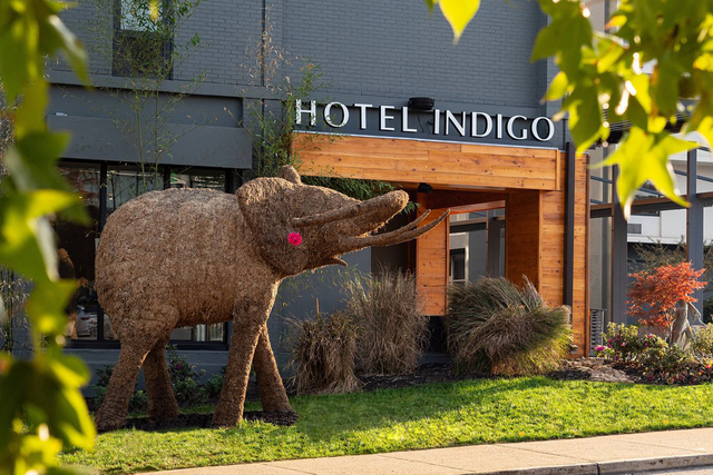 Boutique hotel entrance with decorative outdoor lighting and artistic moose sculpture