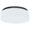 Hampton Inn Suites Kinetic by Hilton Ceiling Lamp Guestroom Ceiling Lamp King Double Queen Ceiling Lamp HL-525097-BLK