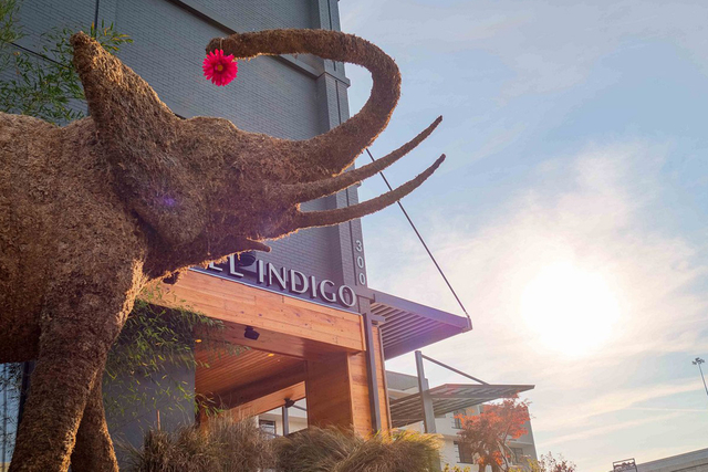 Hotel Indigo entrance canopy featuring branded LED signage and architectural lighting