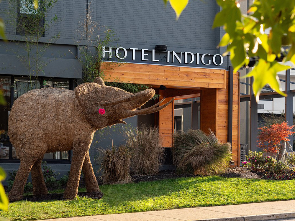 Hotel Indigo custom lighting project - IHG hospitality lighting fixtures by Hualing China
