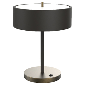 Staybridge Suites Suites Hotel Desk Lamp by IHG Guestroom Desk Lamp King Double Queen Desk Lamp HL-124032