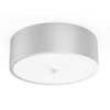 Holiday inn By IHG H4 Ceiling Lamp Public Area Ceiling Lamp King Double Queen Ceiling Lamp HL-529407-SILVER