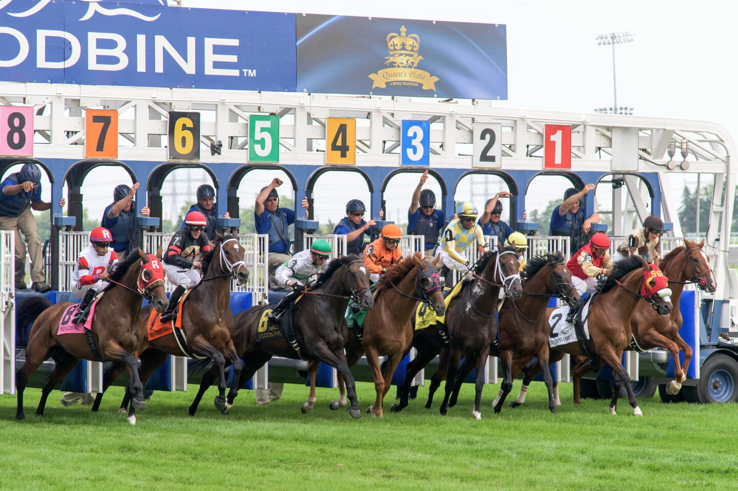 yyzbw-attractions-racetrack-casino-8101-hor-clsc